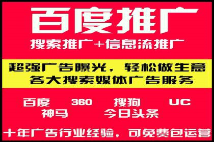 百度竞价推广运营实战技巧与经典案例剖析